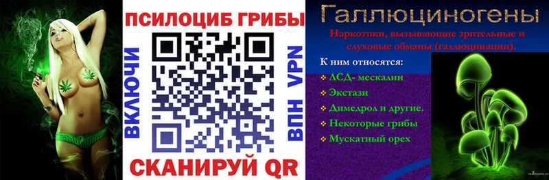 Галлюциногенные грибы Psilocybine cubensis  Купить закладки  Приволжск 